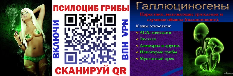 omg вход  Костомукша  Псилоцибиновые грибы Magic Shrooms  где можно купить наркотик 