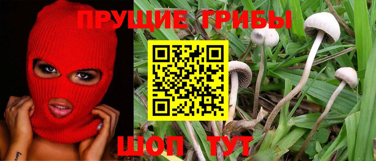 Галлюциногенные грибы мухоморы  Костомукша  Псилоцибиновые грибы мицелий 